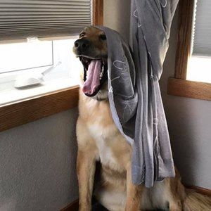 Meet your Posher, Keri